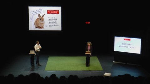 Le problème lapin, cartographie 7 - Extrait