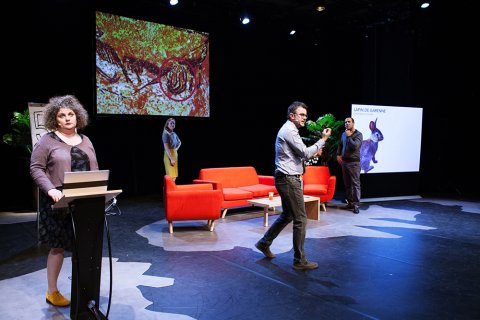 Borderline(s) Investigation #1