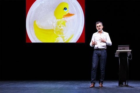 À la recherche des canards perdus